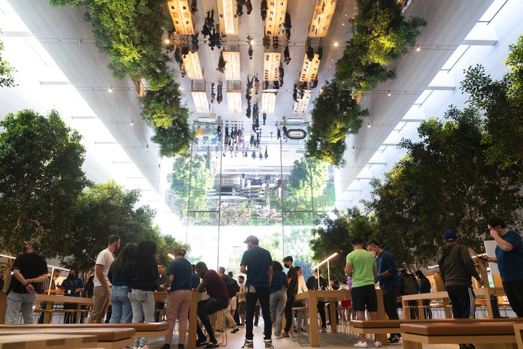 Tim Cook ke Apple Store