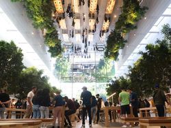 CEO Apple Turun Gunung Pantau Penjualan Perdana iPhone 14