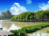 5 Rekomendasi Wisata Mangrove di Pantai Timur Sumut, Seru dan Sejuk
