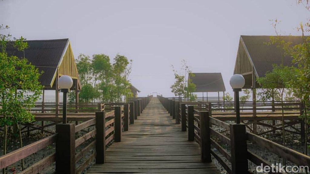 5 Rekomendasi Wisata Mangrove di Pantai Timur Sumut, Seru dan Sejuk