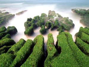 Bagai Surga, Ini 7 Tempat Instagenik Kebanggaan Taiwan