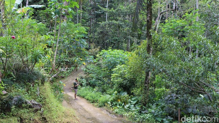 Dusun Plandi, terpencil di Banyumas. Foto diambil pada Selasa (13/9/2022).