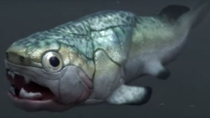 Ikan purba Gogo