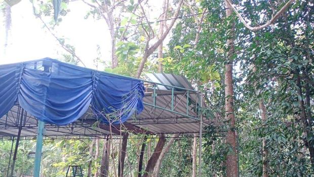 Lokasi korban tersetrum hingga tewas di Dusun Donomerto, Kalurahan Donomulyo, Kapanewon Nanggulan, Kulon Progo, Minggu (18/9/2022).