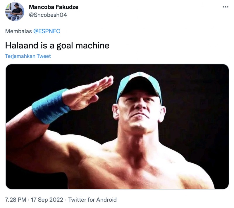 Meme Erling Haaland