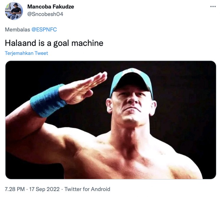 Meme Meme Erling Haaland