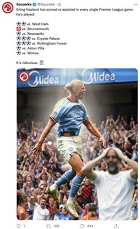 Meme Erling Haaland