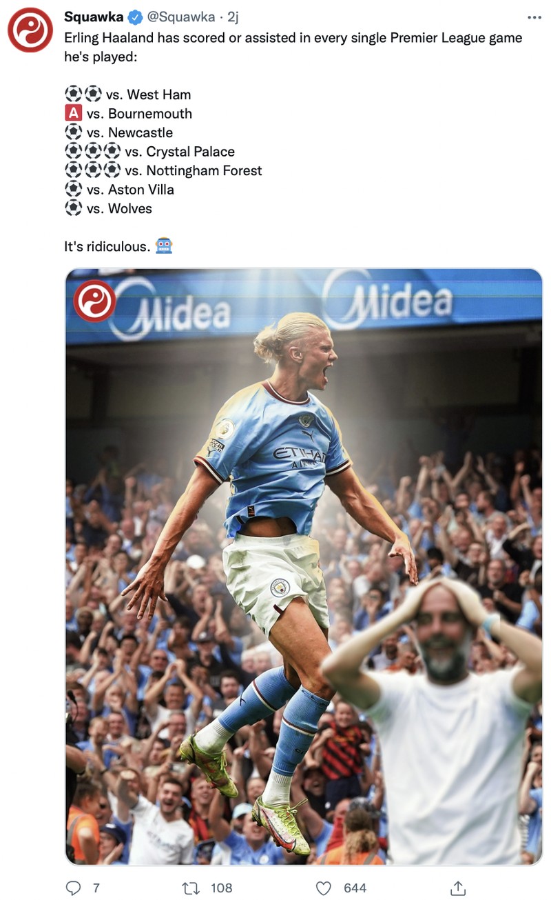 Meme Erling Haaland