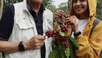 Beberapa waktu lalu, Najwa sempat bertemu sengan William Wongso, sang pakar kuliner Indonesia. Saat itu keduanya tampak memetih bush kopi varietas robusta. Foto: Instagram @najwashihab