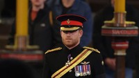 Tapi atas perintah ayahnya atau Raja Charles III, Pangeran Harry memakai lagi seragam militernya.  Foto: Getty Images/Chris Jackson