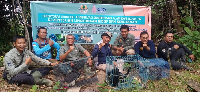 Pelepasliaran satwa ke hutan Jambi