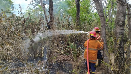 Personil Damkartan Karangasem saat melakukan penanganan kebakaran lahan di wilayah Kecamatan Kubu