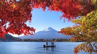 Lanskap ini terasa sangat lengkap dengan detail framing pada Pohon Maple Merah dipadu dengan aktivitas nelayan dan latar belakang Gunung Fuji. Panorama Danau Kawaguchiko pun sangat sempurna.