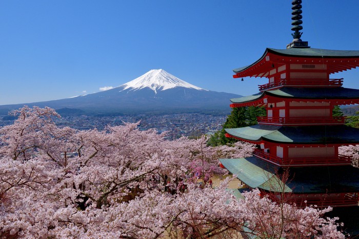 Keindahan bunga sakura bisa dijumpai dibeberapa lokasi di Jepang. Nah, berikut ini merupakan deretan spot menarik untuk menikmati bunga tersebut.