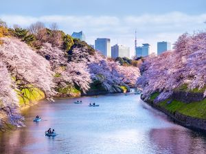 Dunia Tipu-tipu, Wisata Jepang Sekeren Itu tapi Dibayangi Resesi Seks