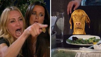 Meme ikonik. Foto: Reddit