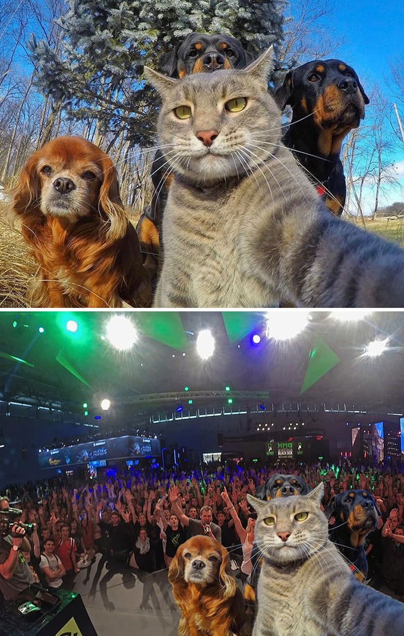 Editan dewa photoshop