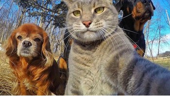 Selfie time... Foto: Reddit