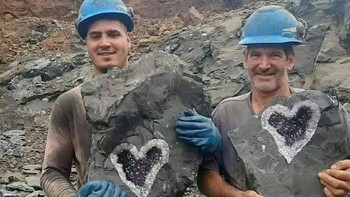 Kartu king. Foto: Reddit