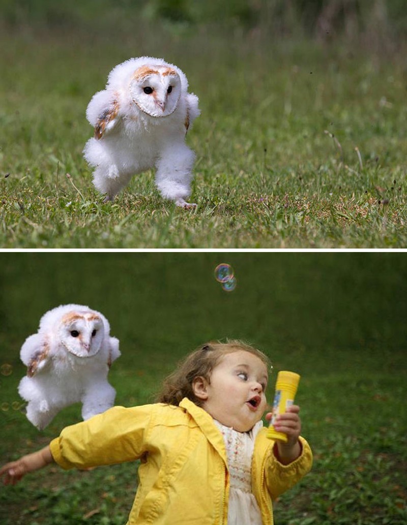 Editan dewa photoshop