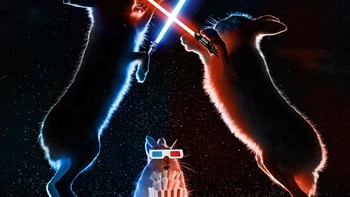 Jadi Jedi ala Star Wars. Foto: Reddit