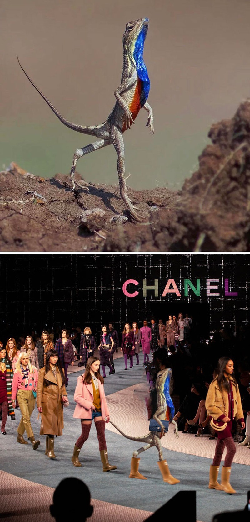 Editan dewa photoshop