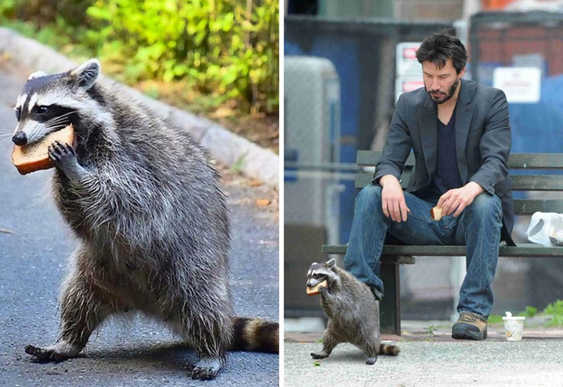 Editan dewa photoshop