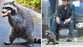 Makan roti Keanu Reeves. Foto: Reddit