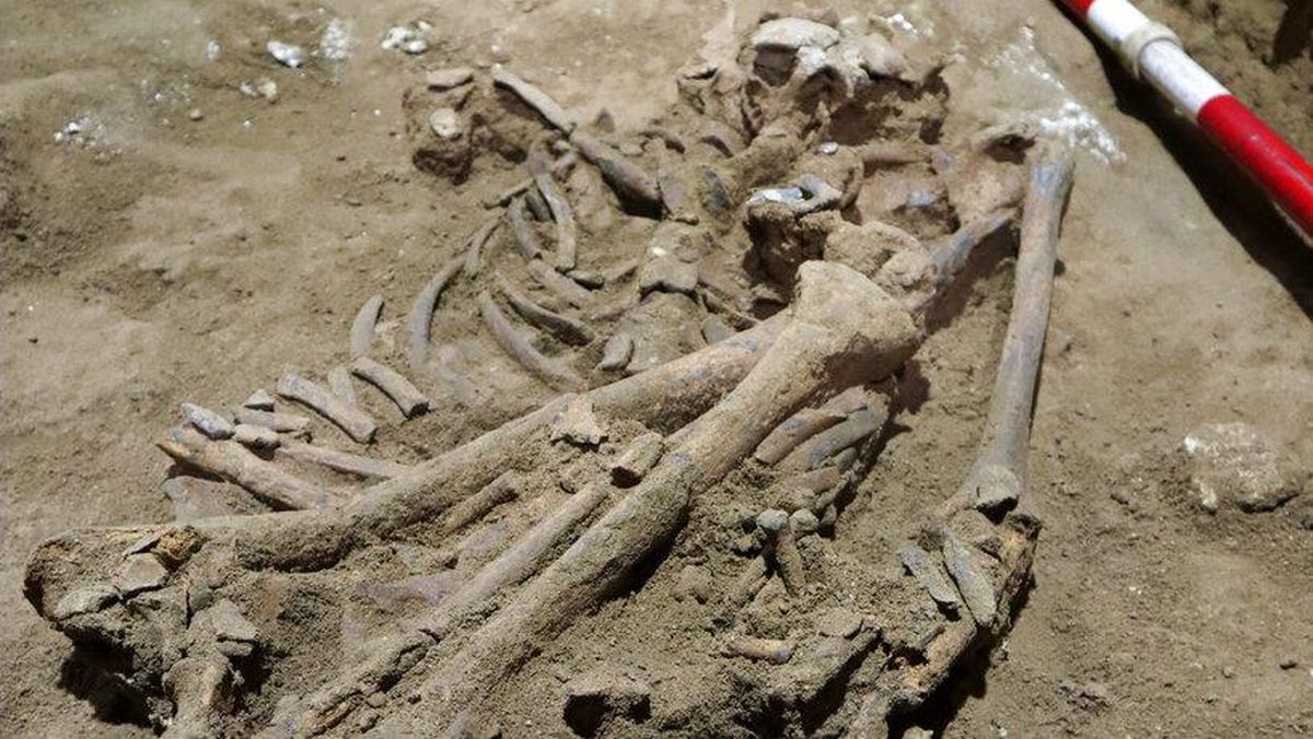 Mengungkap Misteri Kerangka 31 Ribu Tahun di Kalimantan