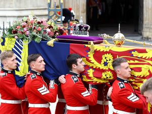 Bahkan Laba-laba pun Beri Penghormatan Pada Ratu Elizabeth II