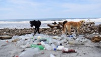 Tampak dua ekor anjing berada di dekat sampah botol plastik.