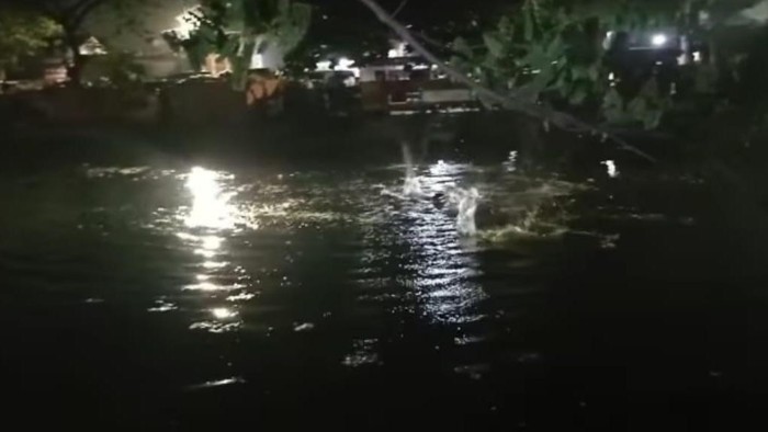 maling ceburkan diri surabaya