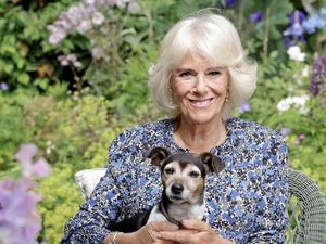 Camilla Merasa Berkuasa Usai Ratu Elizabeth II Meninggal