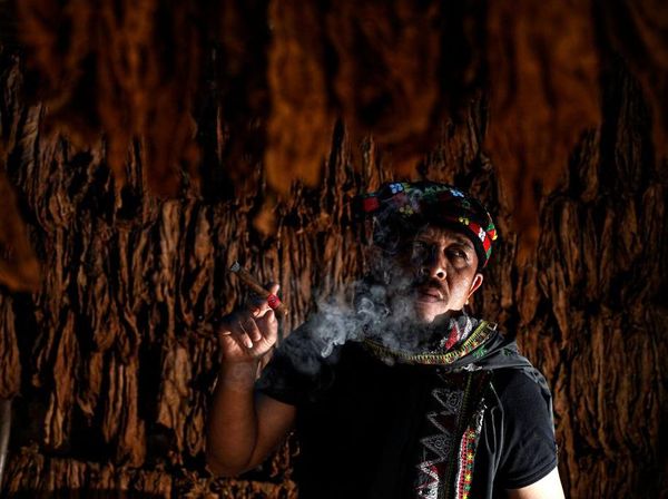 Yuk! Intip Proses Pembuatan Cerutu di Aceh