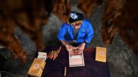 Setelah mendapatkan hasil yang maksimal, daun dipindahkan ke kotak dan siap dijual.