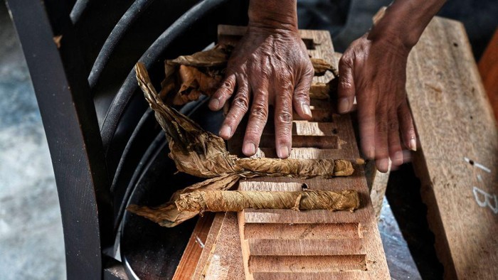 Cerutu Yuk! Intip Proses Pembuatan Cerutu di Aceh