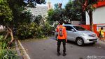 Foto-foto Pohon Tumbang Timpa Mobil di Jalan Marga Guna Jaksel