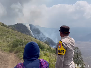 10 Hektare Hutan dan Lahan di Semeru Terbakar