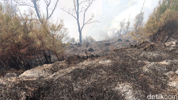 10 hektare lahan tnbts terbakar
