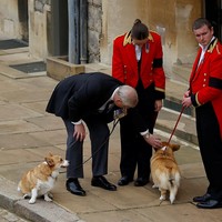 Setelah ditinggal Ratu, Muick dan Sandy akan dirawat Pangeran Andrew dan Sarah Ferguson. Mereka kembali ke Royal Lodge bersama Duke dan Duchess, ujar seorang jurubicara Istana seperti dikutip Glamour. (Foto: Peter Nicholls-WPA Pool/Getty Images)