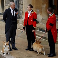 Namun, Muick dan Sandy berbeda sendiri karena merupakan pemberian Andrew Pangeran Andrew dan mantan istrinya, Duchess of York Sarah Ferguson. Mereka menghadiahi anjing tersebut saat Ratu merayakan hari yang seharusnya menandai ulang tahun ke-100 mendiang Pangeran Philip. (Foto: Peter Nicholls - WPA Pool/Getty Images)