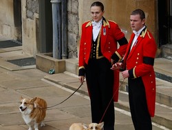 Foto: Anjing Ratu Elizabeth II Setia Antar Hingga Peristirahatan Terakhir