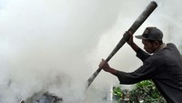 Saat ini Kelompok Tani Rengas Lestari memiliki 15 anggota yang merupakan petani dan sekaligus pemilik kebun pinang dengan total lahan mencapai 15 hektare lebih atau menghasilkan sedikitnya 1 ton sampah pelepah.