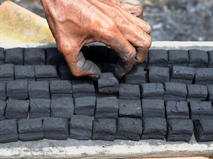 12 Alasan Briket Dapat Dijadikan Energi Alternatif