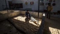 Mamdouh Hassan mengelus-elus punggung buaya yang sudah jinak tersebut.