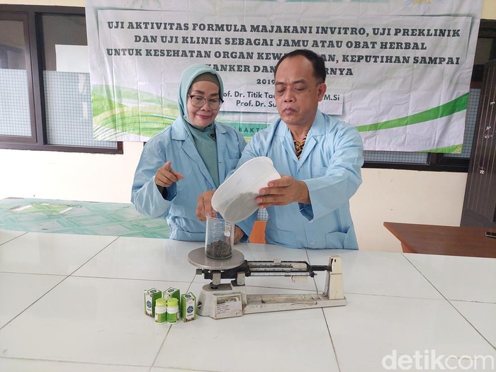 Dua profesor Unesa yang meneliti khasiat manjakani