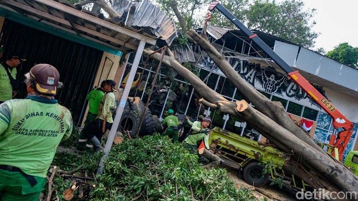 Sebuah bangunan gym tertimpa pohon besar di Lebak Bulus, Jakarta Selatan. Pohon tersebut tumbang karena angin kencang kemarin sore.