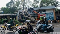 Pohon itu tidak menghalangi jalanan dari Cirendeu menuju Jakarta. 