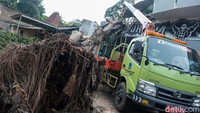 Petugas Suku Dinas Kehutanan Jaksel menangani pohon tumbang di Lebak Bulus, Jakarta Selatan, Selasa (20/9/2022) pukul 08.00 WIB.