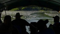 Banyaknya sampah di Danau Suchitlan berisiko membahayakan kesehatan masyarakat sekitar. Pasalnya, danau itu juga merupakan reservoir bagi PLTA dan telah ditetapkan UNESCO sebagai lahan basah penting untuk dunia internasional. Marvin Recinos/AFP/Getty Images